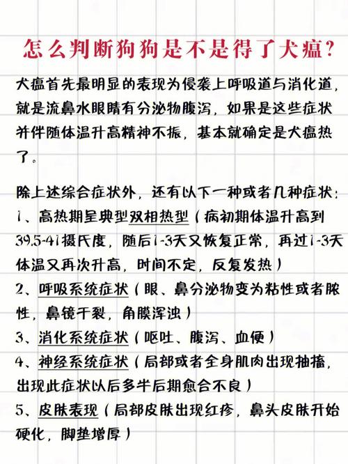 犬瘟热抽搐?犬瘟热抽搐了还有救吗!