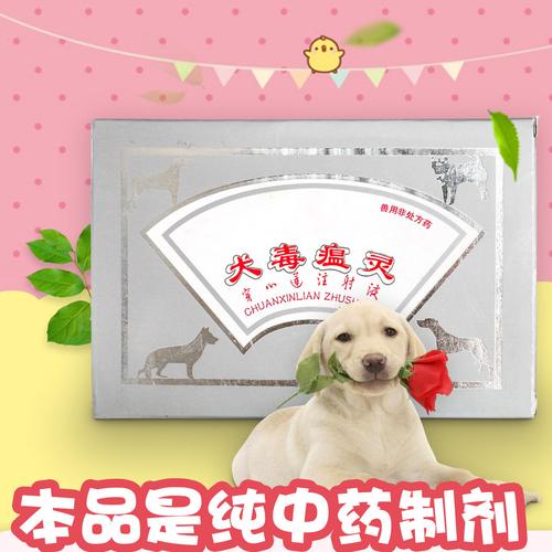 犬毒瘟灵?犬毒瘟灵功能与主治!