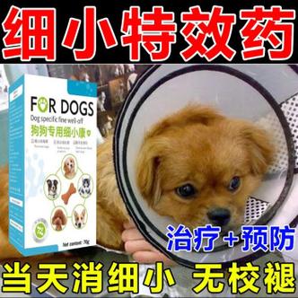 细小病?细小病毒狗狗怎么治疗方法!