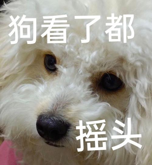 摇头狗?摇头狗表情包!