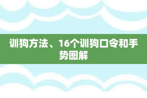 训狗技巧?训狗技巧方法!