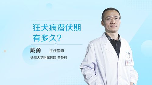 狂犬病潜伏期一般多长时间?狂犬病潜伏期一般多长时间最长!