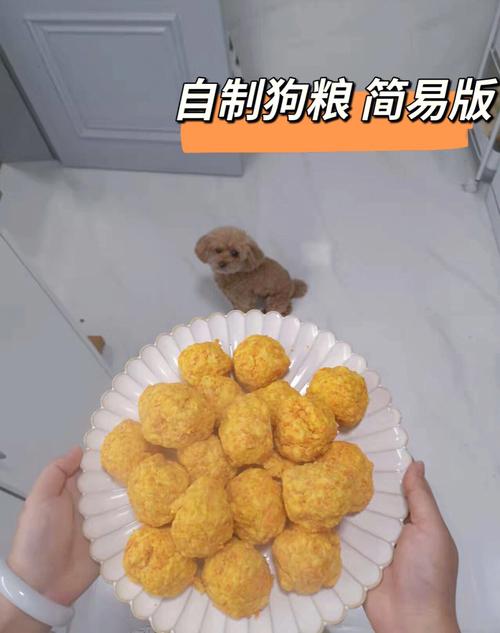 狗粮制作过程?狗粮制作过程视频!