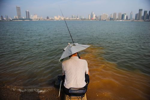 游泳者如何钓鱼?游泳者如何钓鱼视频!