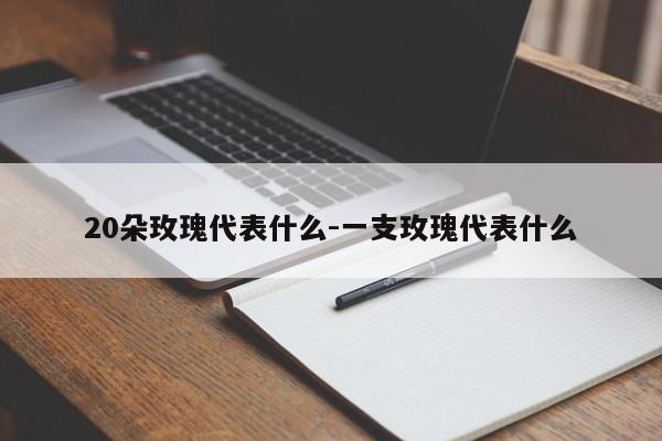 20朵玫瑰代表什么-一支玫瑰代表什么