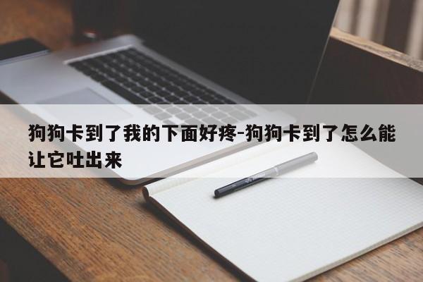 狗狗卡到了我的下面好疼-狗狗卡到了怎么能让它吐出来