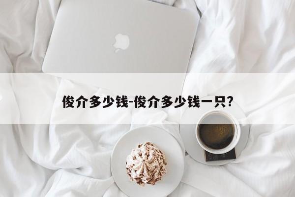 俊介多少钱-俊介多少钱一只?