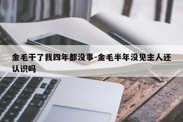 金毛干了我四年都没事-金毛半年没见主人还认识吗