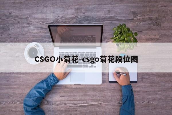 CSGO小菊花-csgo菊花段位图