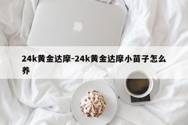 24k黄金达摩-24k黄金达摩小苗子怎么养