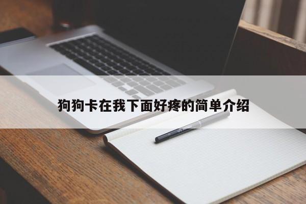 狗狗卡在我下面好疼的简单介绍