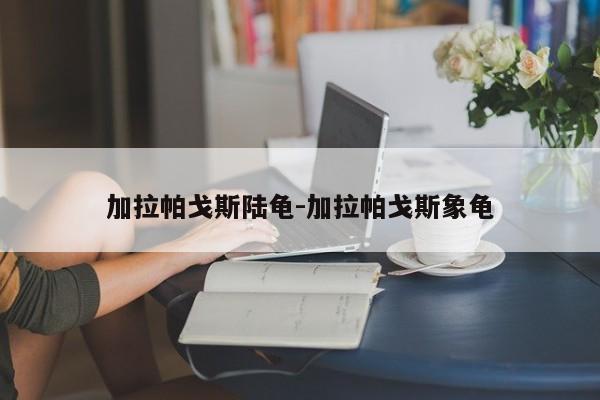 加拉帕戈斯陆龟-加拉帕戈斯象龟