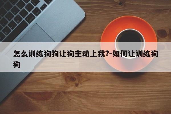 怎么训练狗狗让狗主动上我?-如何让训练狗狗