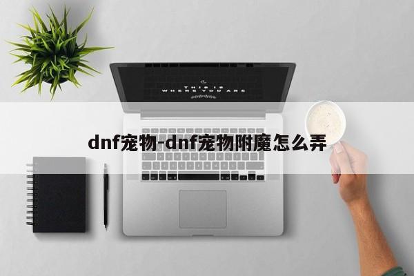 dnf宠物-dnf宠物附魔怎么弄