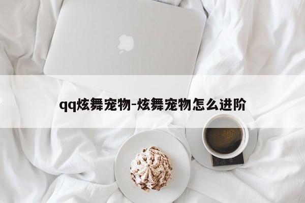 qq炫舞宠物-炫舞宠物怎么进阶