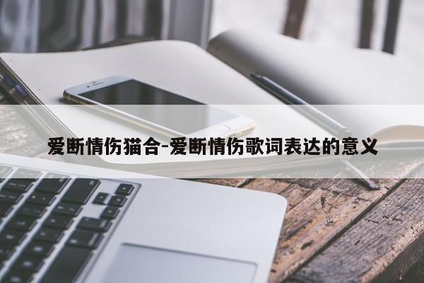 爱断情伤猫合-爱断情伤歌词表达的意义