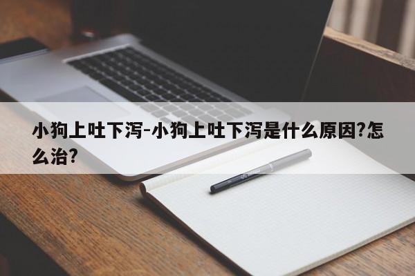 小狗上吐下泻-小狗上吐下泻是什么原因?怎么治?