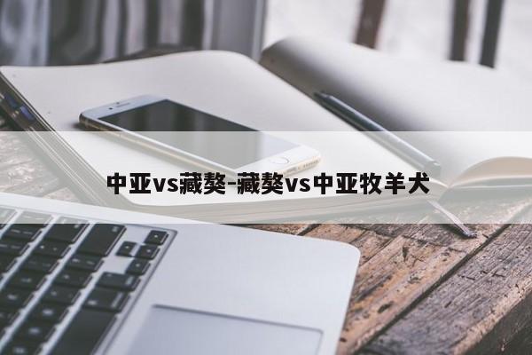 中亚vs藏獒-藏獒vs中亚牧羊犬