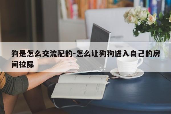 狗是怎么交流配的-怎么让狗狗进入自己的房间拉屎