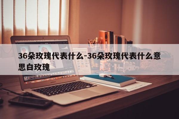 36朵玫瑰代表什么-36朵玫瑰代表什么意思白玫瑰