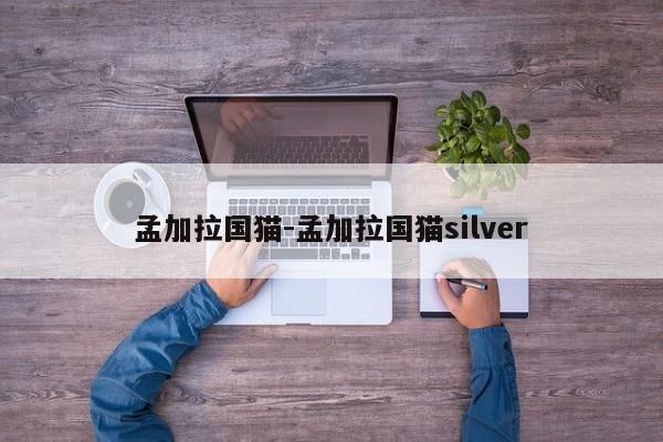 孟加拉国猫-孟加拉国猫silver