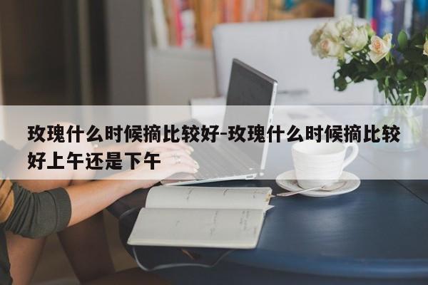 玫瑰什么时候摘比较好-玫瑰什么时候摘比较好上午还是下午