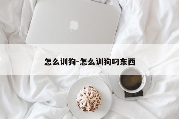 怎么训狗-怎么训狗叼东西