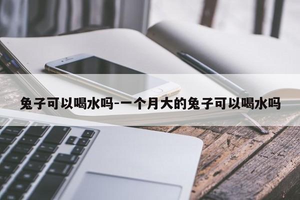 兔子可以喝水吗-一个月大的兔子可以喝水吗