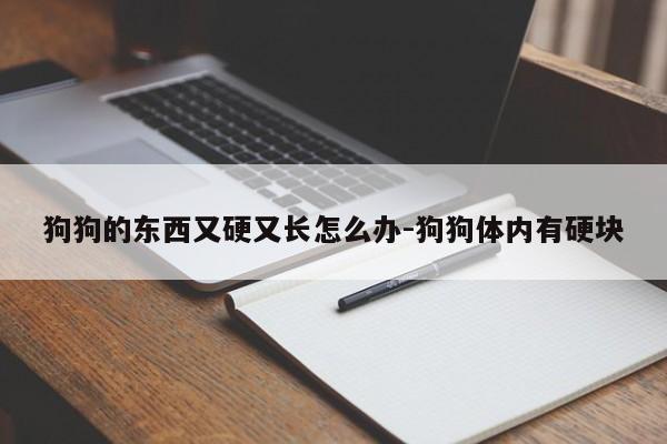 狗狗的东西又硬又长怎么办-狗狗体内有硬块