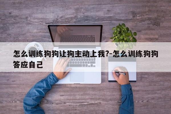 怎么训练狗狗让狗主动上我?-怎么训练狗狗答应自己