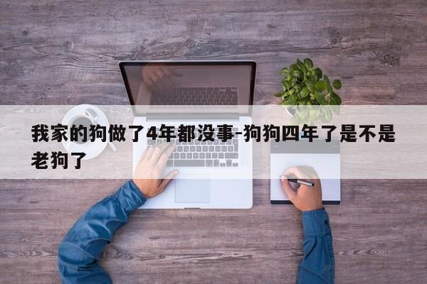 我家的狗做了4年都没事-狗狗四年了是不是老狗了