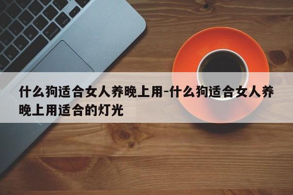 什么狗适合女人养晚上用-什么狗适合女人养晚上用适合的灯光